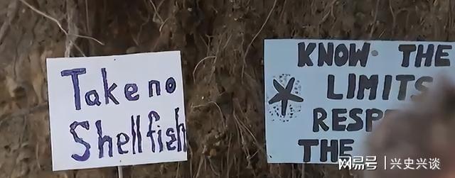 乐鱼官网-大规模抗议爆发, 针对华人! 本地人在海边用中文横幅抵制!